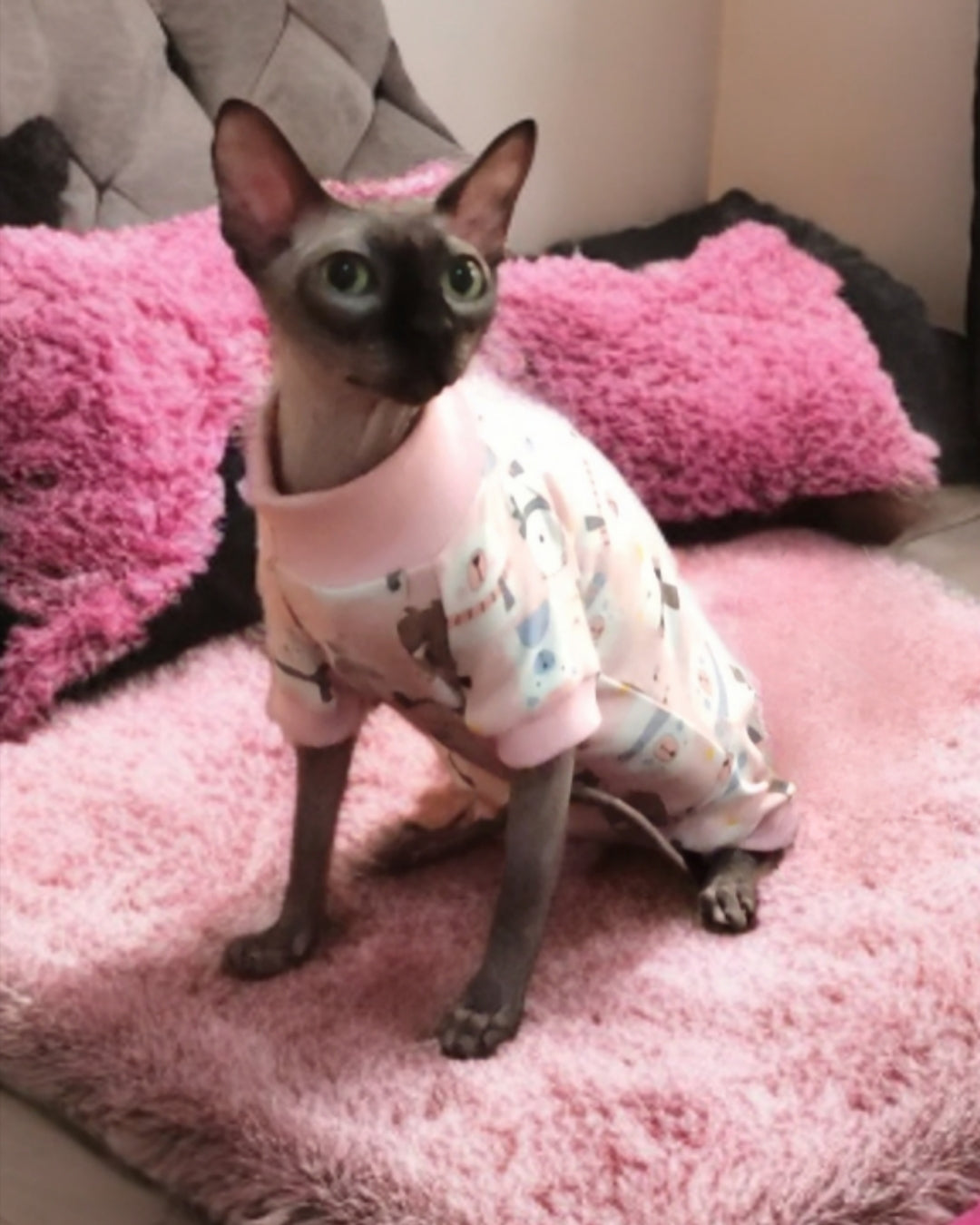 Cotton overalls cat and dog
