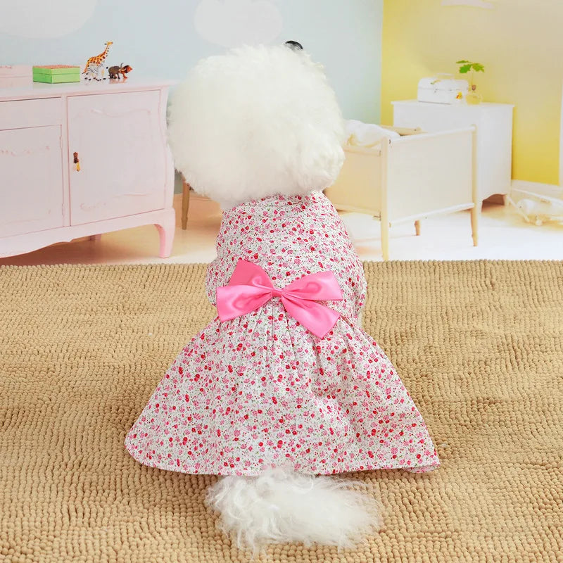 Summer dresses for Cats & Dogs clothes