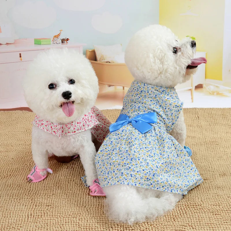 Summer dresses for Cats & Dogs clothes