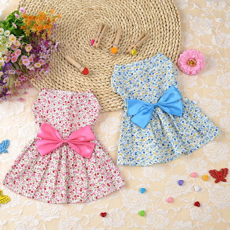 Summer dresses for Cats & Dogs clothes