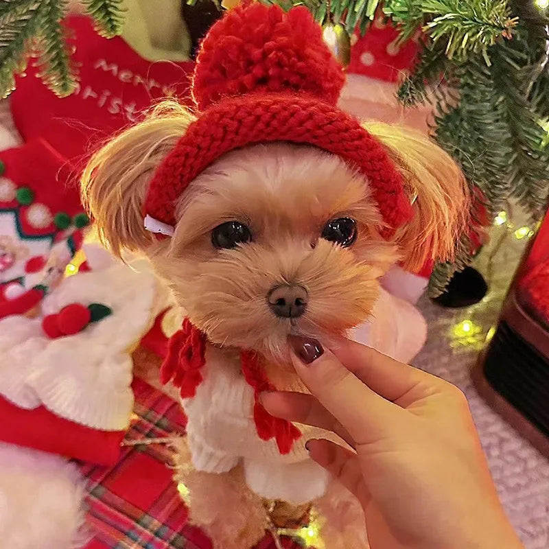 Knitted hat for dogs and cats