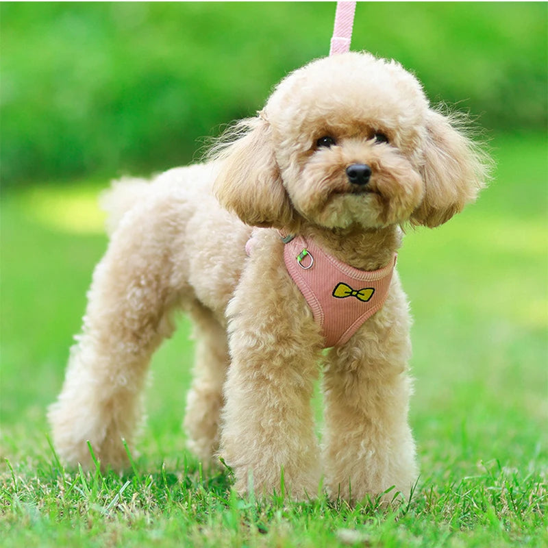 Summer corduroy harness for dogs and cats, vest, leash for walking