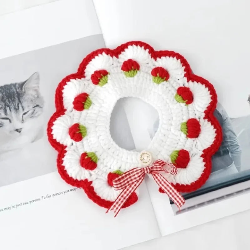 Handmade strawberry cat collar for photo shoots with pets.
