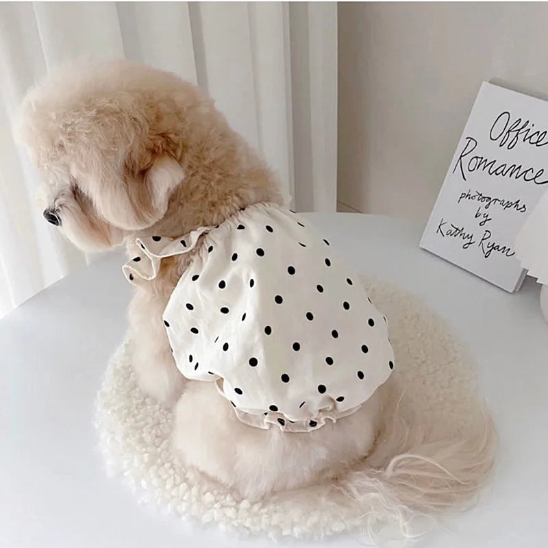 Pet Dog&Cat Dresses