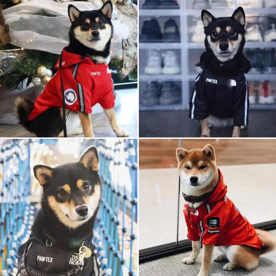Waterproof reflective pet clothing jacket.