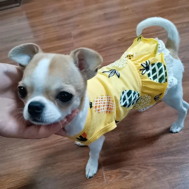 Cotton Dress for Cats and Dogs Summer Pet Clothes