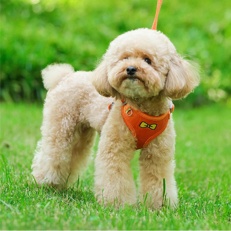 Summer corduroy harness for dogs and cats, vest, leash for walking