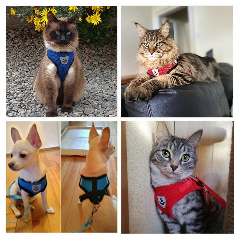 Dog and cat harness Adjustable Vest Walking Traction Rope Set for Dog Collar Breathable Mesh Harness for Small Medium Cat Dog Pet Lead