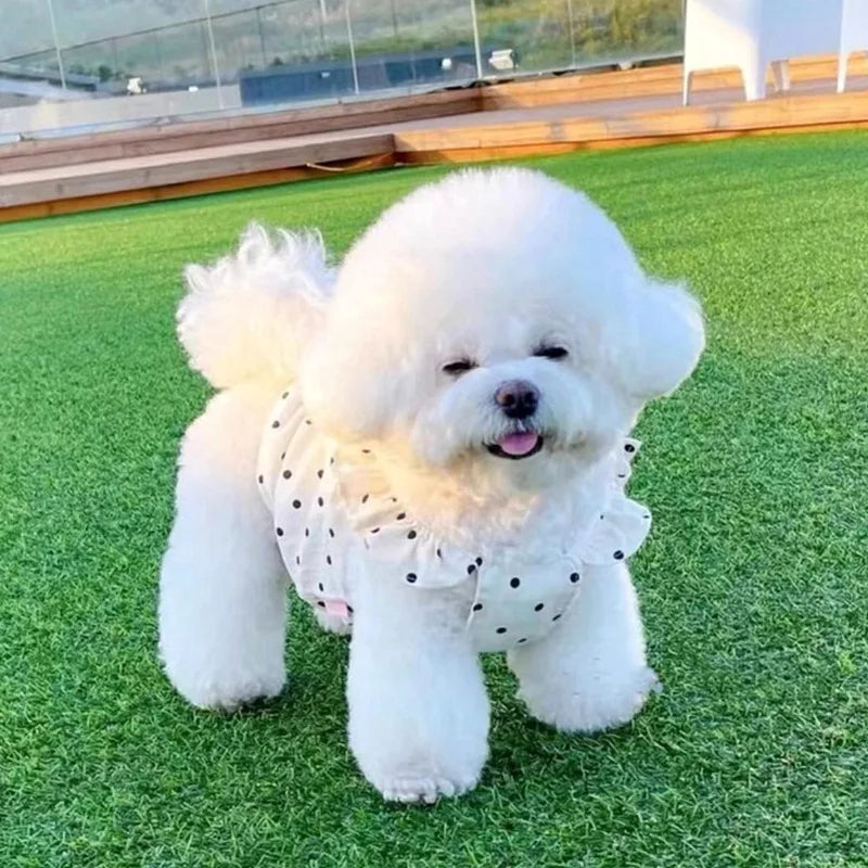 Pet Dog&Cat Dresses