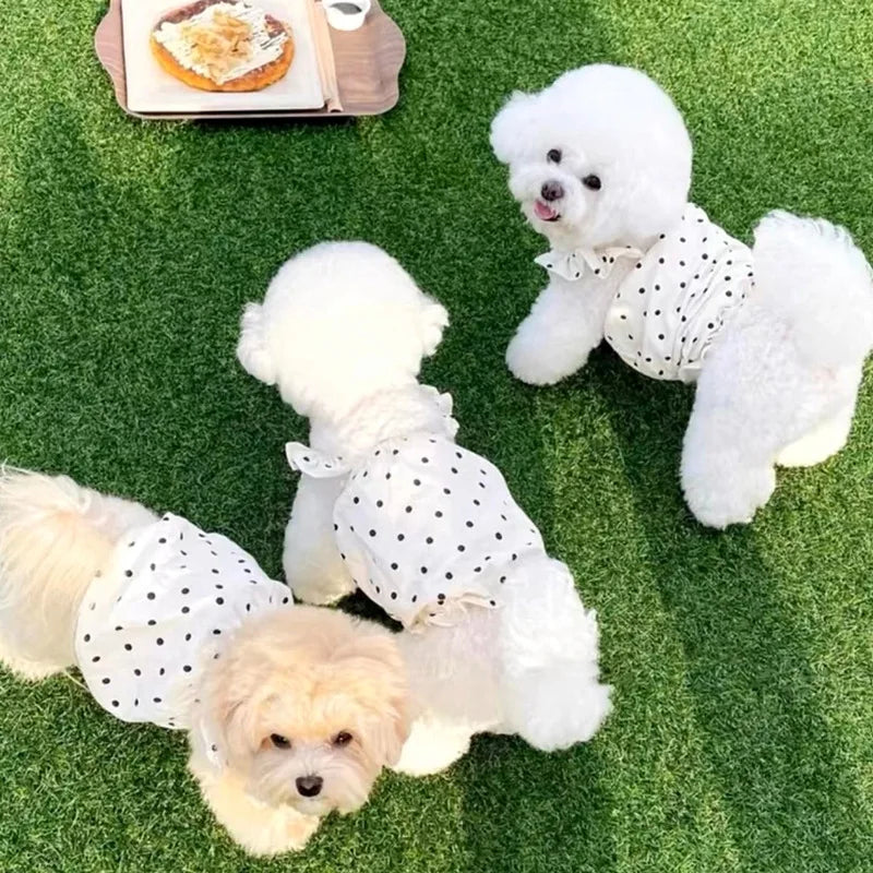 Pet Dog&Cat Dresses
