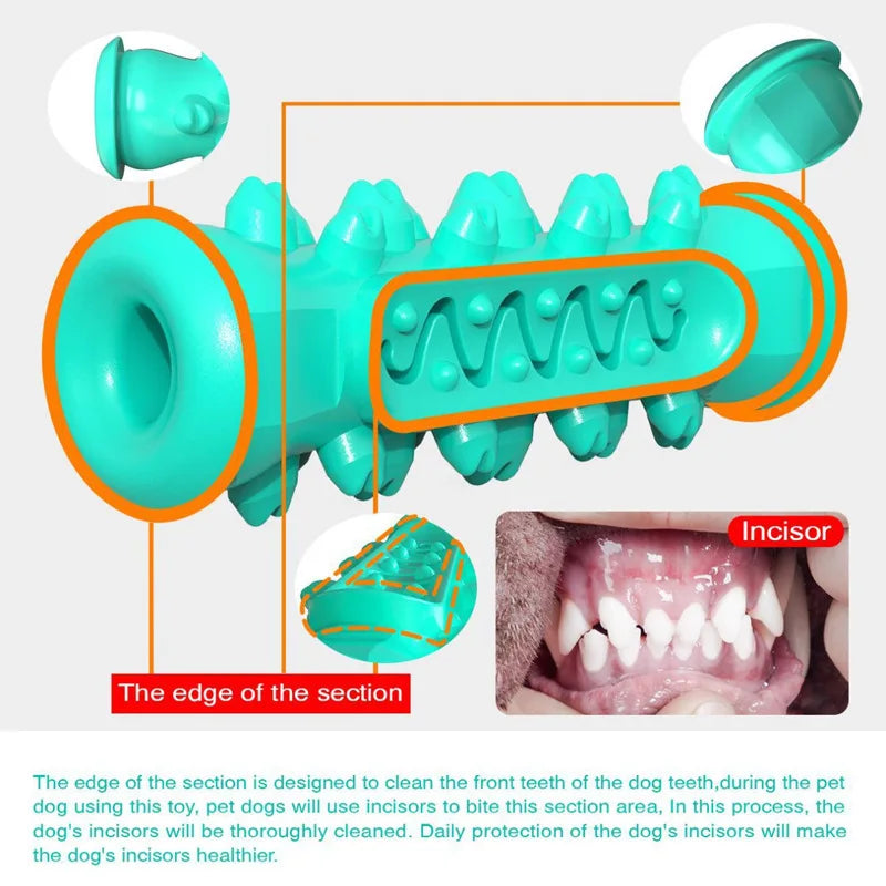 Dog Molar Toothbrush Chewing Toys Teeth Cleaning Safe Dental Care for Puppy
