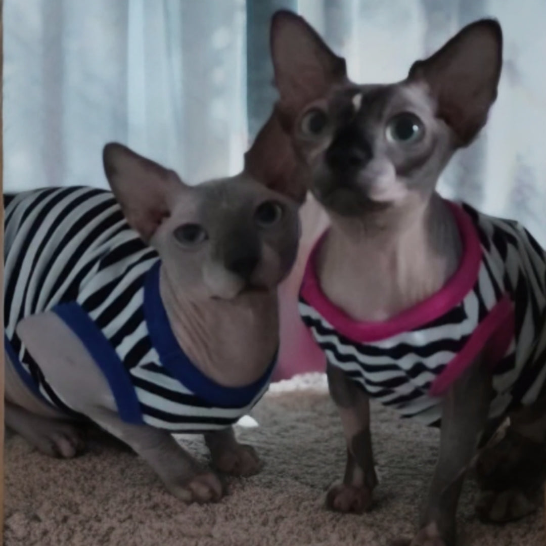 Cotton T-shirt for pets