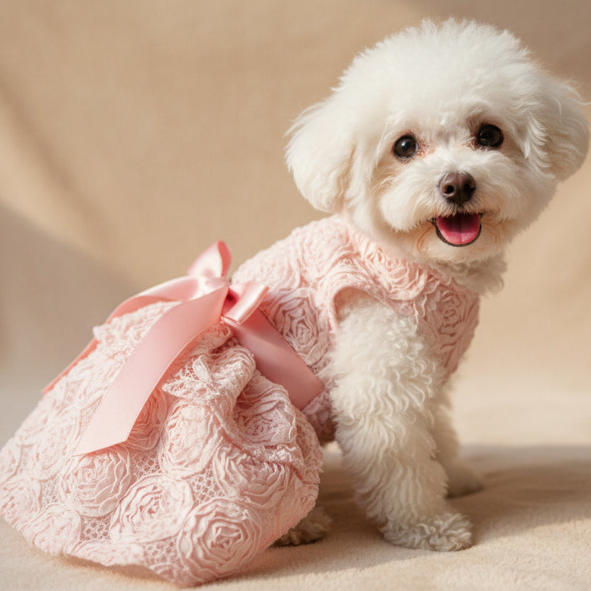 Princess dog dress with embroidered flowers,