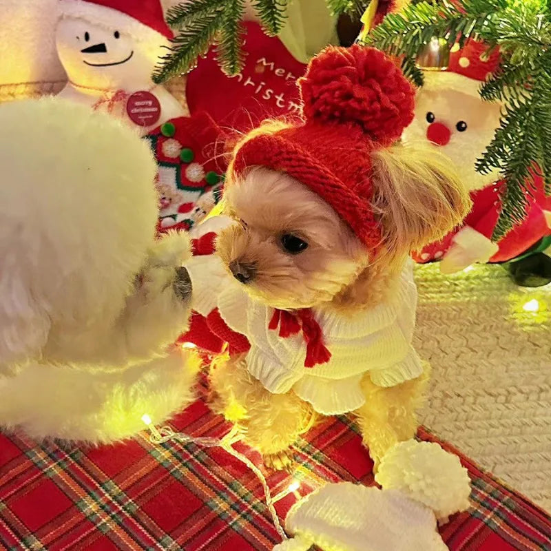 Knitted hat for dogs and cats