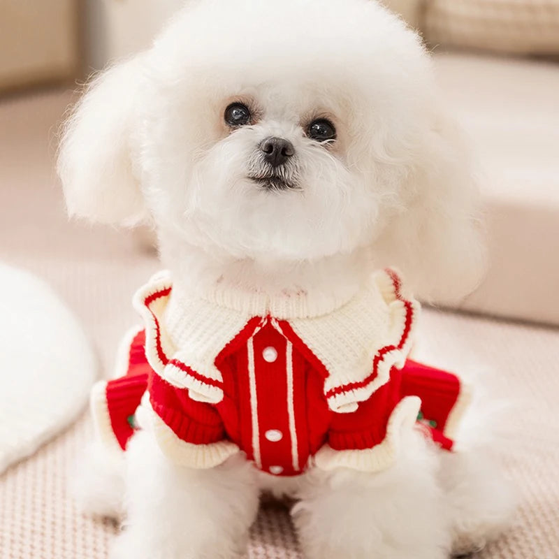 Winter Christmas clothes for dogs and cats, knitted dress