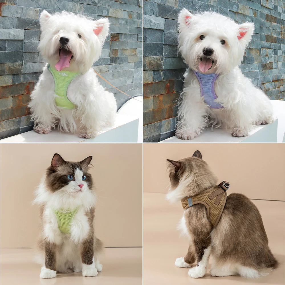 Reflective Pet Harness with Leash