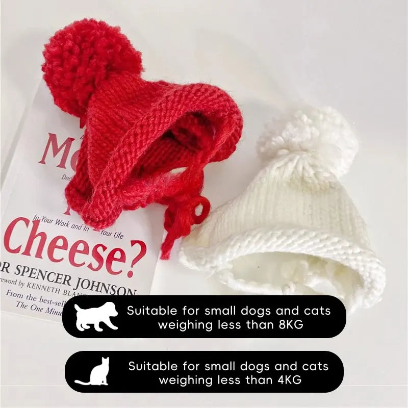 Knitted hat for dogs and cats