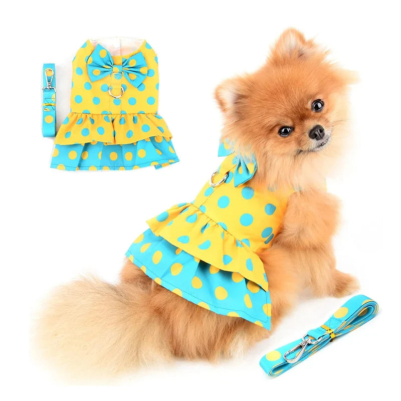 Summer princess dress for dogs with leash.