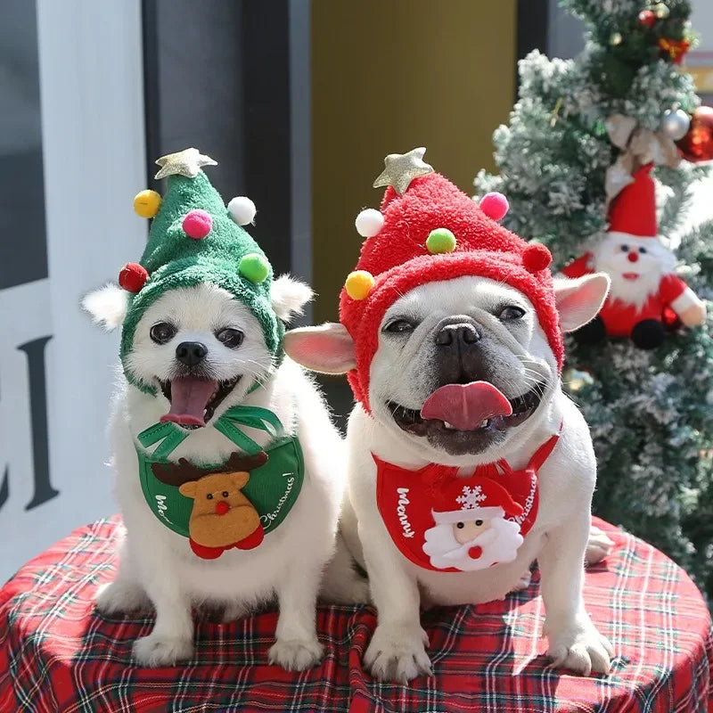 Christmas hats and scarves for dogs and cats