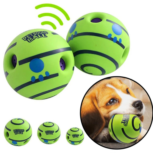 Toy for dogs, a ball that attracts the dog's attention.