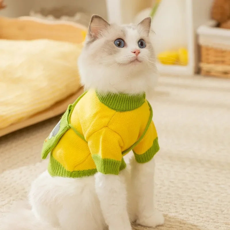 Knitted sweater, warm clothes for your pet