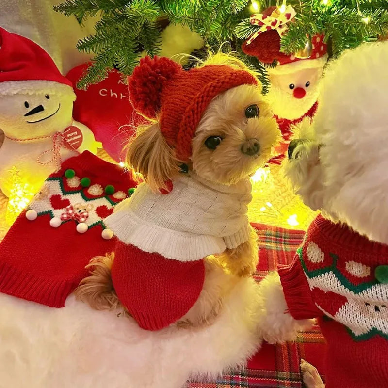 Knitted hat for dogs and cats