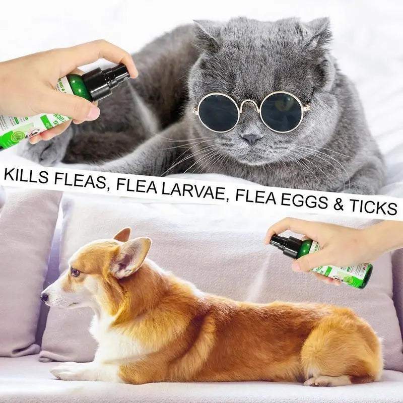 Natural  Flea Spray 100ml