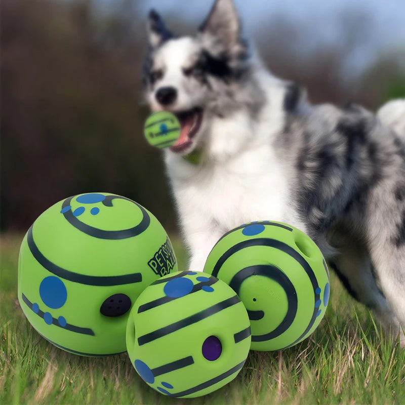 Toy for dogs, a ball that attracts the dog's attention.