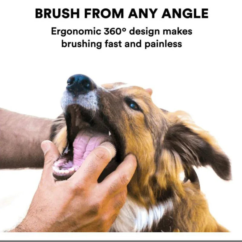Soft finger toothbrush for dogs.