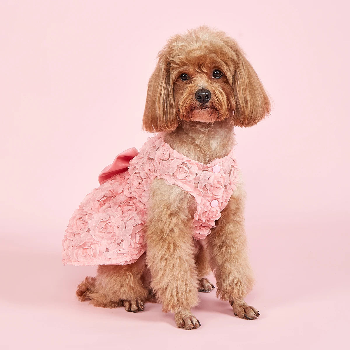 laifug dress puppy princess purple Dog Dress Pet Princess Dress Sweet Puppy Tutu Dresses Summer Pet Gauze Skirt Pink Purple Dog Vest Apparel Skirt for Dogs and Cats XS-XL